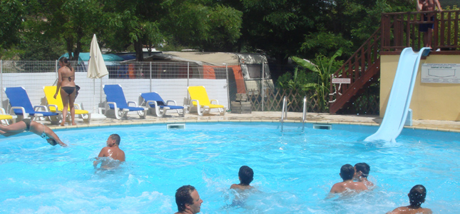 Les Floralies Provence-Alpes-Côte d'Azur - Montauroux visuel 2/5 Les Floralies Provence-Alpes-Côte d'Azur - Montauroux visuel 2/5