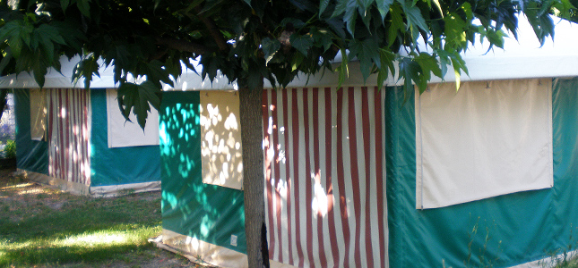 Les Floralies Provence-Alpes-Côte d'Azur - Montauroux visuel 4/5 Les Floralies Provence-Alpes-Côte d'Azur - Montauroux visuel 4/5