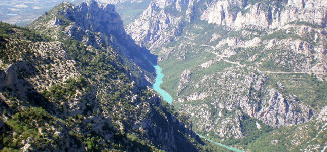 Les Floralies Provence-Alpes-Côte d'Azur - Montauroux visuel 5/5 Les Floralies Provence-Alpes-Côte d'Azur - Montauroux visuel 5/5