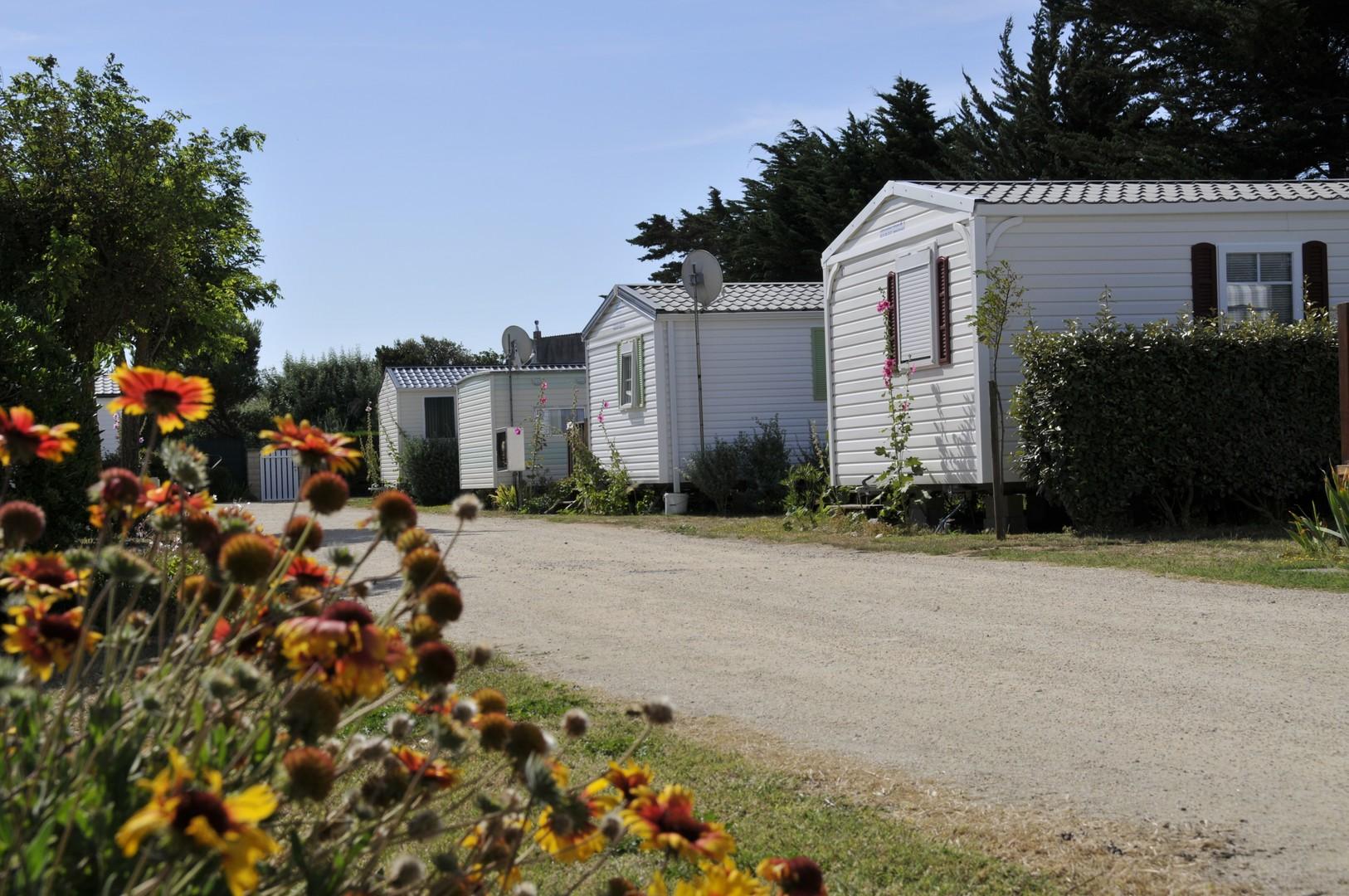Les Flots Atlantique Poitou-Charentes - Saint-Pierre-d'Oléron visuel 2/4