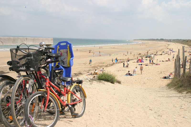 Les Fougères Poitou-Charentes - Rivedoux-Plage visuel 7/11 Les Fougères Poitou-Charentes - Rivedoux-Plage visuel 7/11