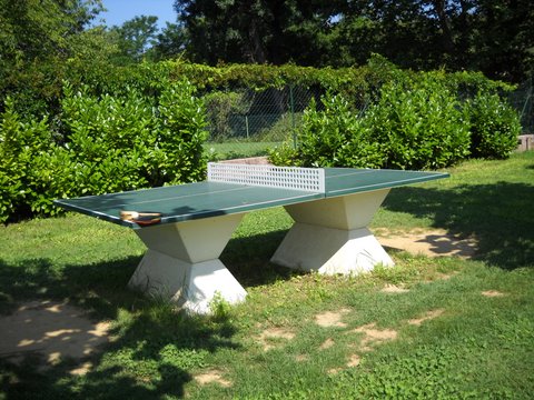 Les Fouguières Provence-Alpes-Côte d'Azur - Carcès visuel 8/11