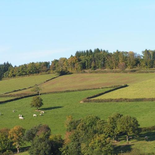Les Genêts du Morvan Burgunder - Ouroux-en-Morvan visuel 2/3 Les Genêts du Morvan Burgunder - Ouroux-en-Morvan visuel 2/3