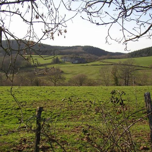 Les Genêts du Morvan Burgunder - Ouroux-en-Morvan visuel 3/3 Les Genêts du Morvan Burgunder - Ouroux-en-Morvan visuel 3/3