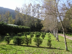 Les Granges Bas Lothringen - Gérardmer visuel 3/8 Les Granges Bas Lothringen - Gérardmer visuel 3/8