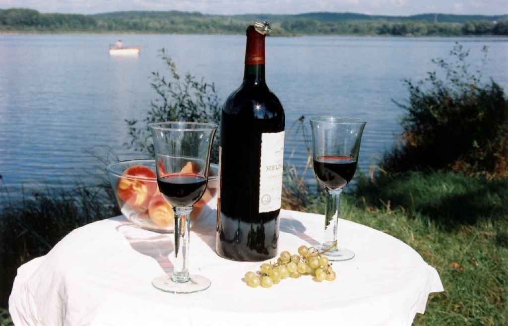 Les Grèbes du Lac Burgunder - Marcenay visuel 1/1 Les Grèbes du Lac Burgunder - Marcenay visuel 1/1