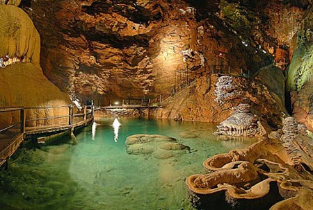 Les Hameaux de Miel Limousin - Beynat visuel 10/10