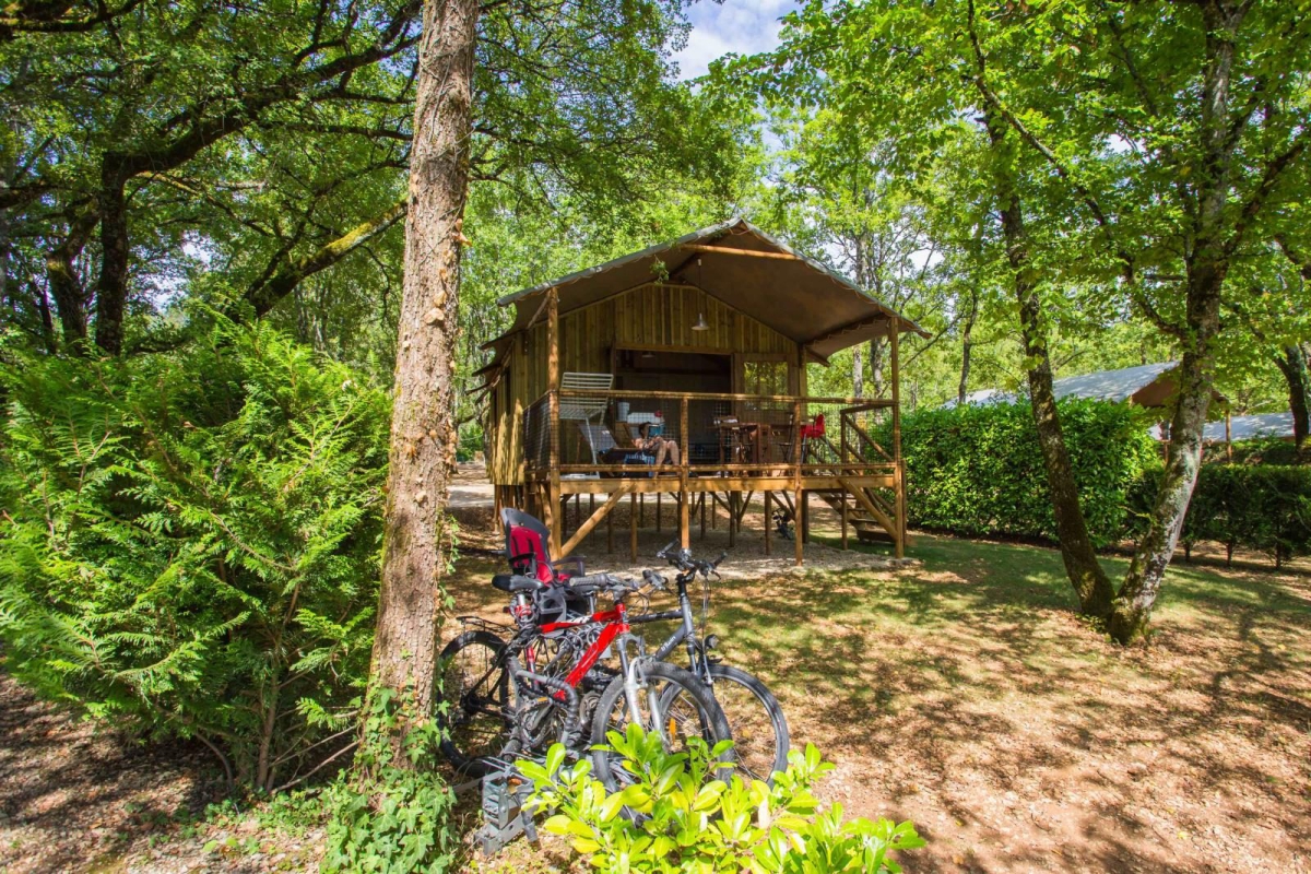 Les Hirondelles Midi-Pyrénées - Loupiac visuel 9/11