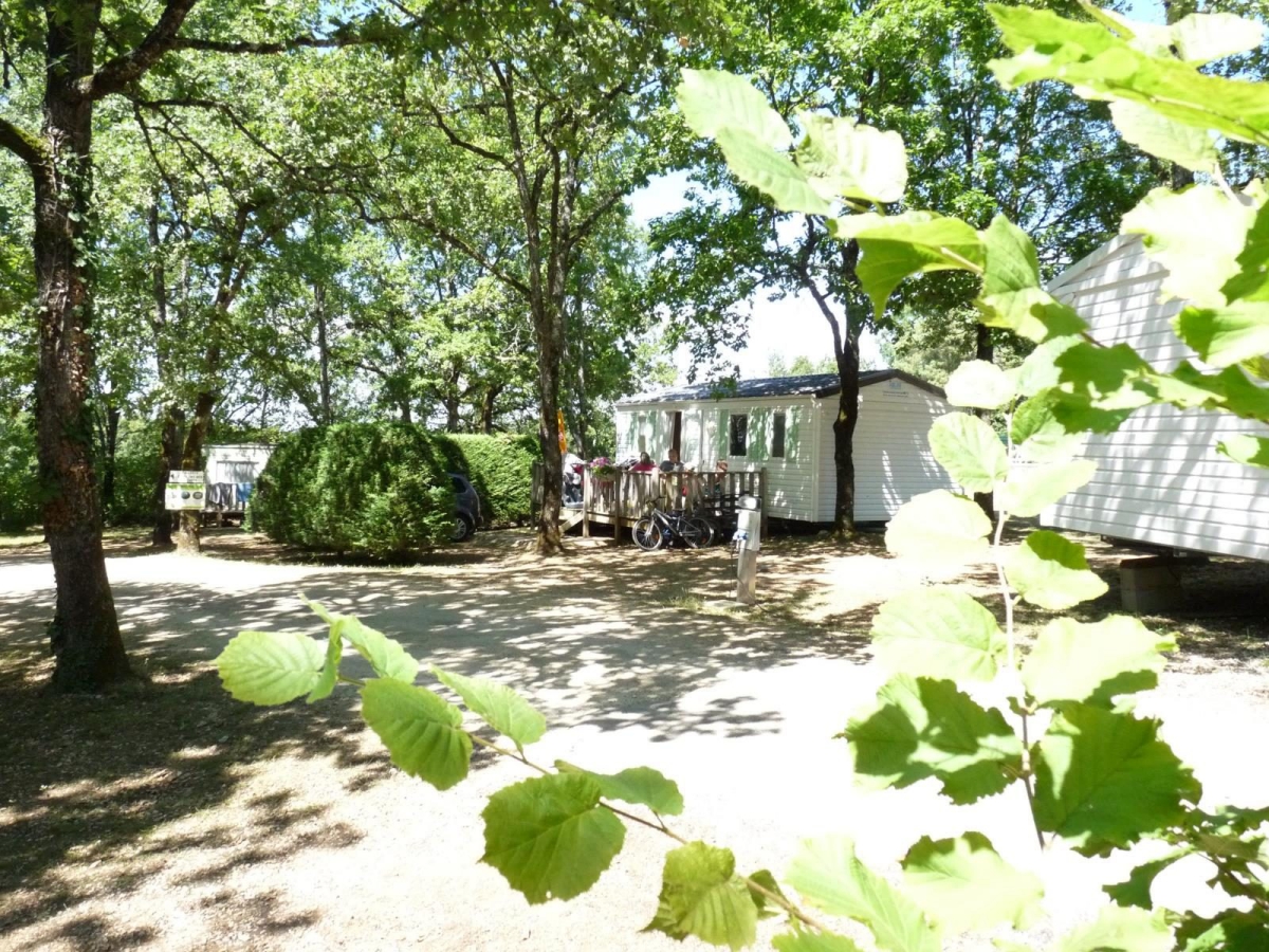 Les Hirondelles Midi-Pyrénées - Loupiac visuel 10/11