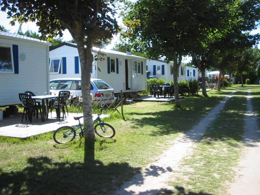 Les Hortensias Bretagne - Loctudy visuel 3/6