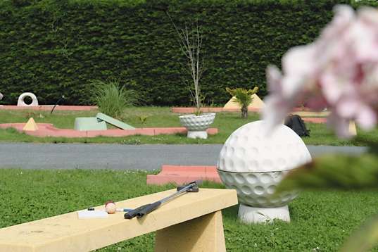 Les Hortensias Bretagne - Loctudy visuel 4/6