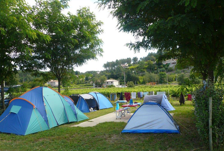 Les Hortensias Rhône-Alpen - La Rosière visuel 6/11 Les Hortensias Rhône-Alpen - La Rosière visuel 6/11