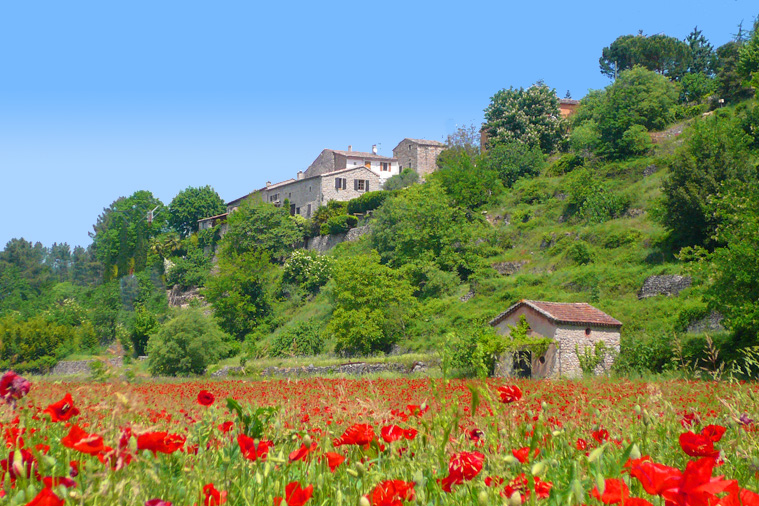 Les Hortensias Rhône-Alpen - La Rosière visuel 10/11 Les Hortensias Rhône-Alpen - La Rosière visuel 10/11