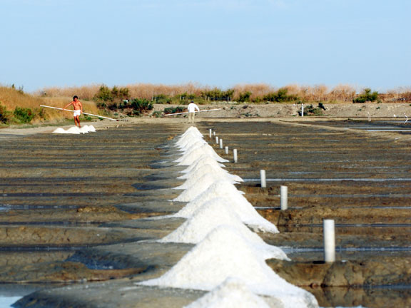 Les Ilates Poitou-Charentes - Loix visuel 13/14