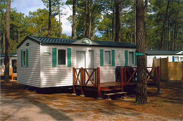 Les Jardins du Littoral Aquitanien - Lacanau visuel 2/4 Les Jardins du Littoral Aquitanien - Lacanau visuel 2/4