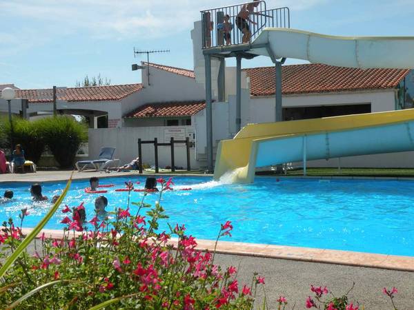 Les Jonquilles Das Loire-Gebiet - La Tranche-sur-Mer visuel 4/8