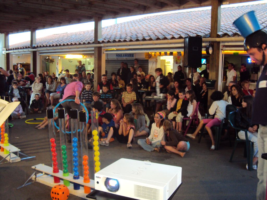Les Jonquilles Das Loire-Gebiet - La Tranche-sur-Mer visuel 6/8