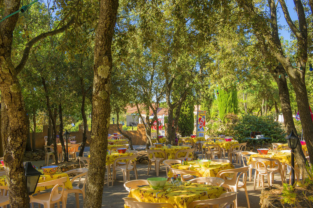 Les Lacs du Verdon Provence-Alpes-Côte d'Azur - Régusse visuel 19/24 Les Lacs du Verdon Provence-Alpes-Côte d'Azur - Régusse visuel 19/24