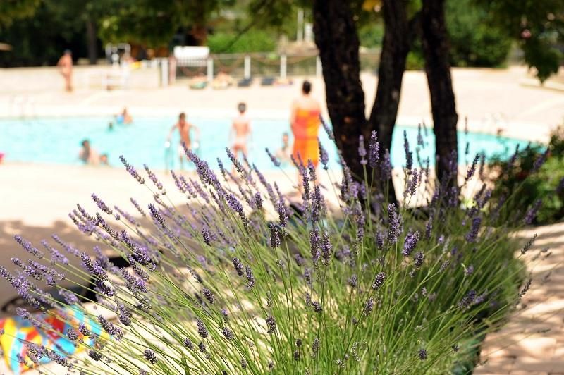 Les LauzonsDomaine Naturiste - Provence-Alpes-Côte d'Azur - Limans visuel 5/7 Les LauzonsDomaine Naturiste - Provence-Alpes-Côte d'Azur - Limans visuel 5/7