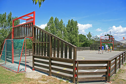 Les Marsouins Das Loire-Gebiet - Brétignolles-sur-Mer visuel 4/7