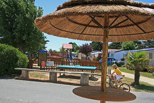 Les Marsouins Das Loire-Gebiet - Brétignolles-sur-Mer visuel 5/7