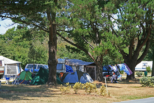 Les Marsouins Das Loire-Gebiet - Brétignolles-sur-Mer visuel 7/7