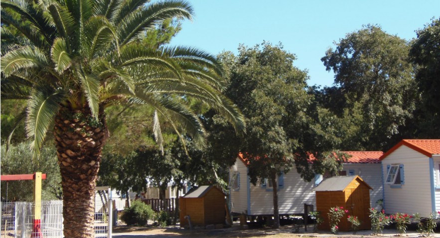 Les Micocouliers Languedoc-Roussillon - Sorède visuel 2/3