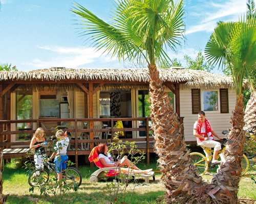 Les Mimosas Languedoc-Roussillon - Portiragnes visuel 7/10