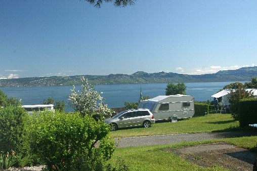 Les Myosotis Rhône-Alpen - Lugrin visuel 1/1