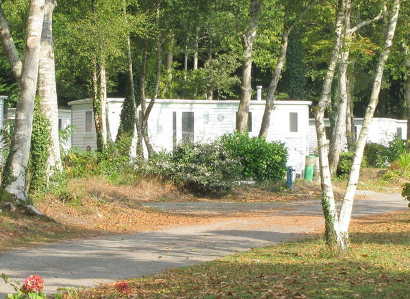 Les Myrtilles Bretagne - Saint-Yvi visuel 7/7 Les Myrtilles Bretagne - Saint-Yvi visuel 7/7