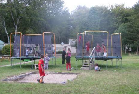 Les Myrtilles Bretagne - Saint-Yvi visuel 5/7 Les Myrtilles Bretagne - Saint-Yvi visuel 5/7