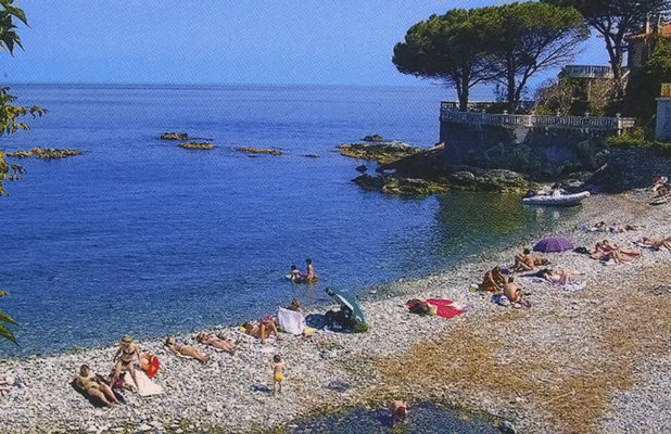 Les Orangers Korsika - MIOMO visuel 1/1