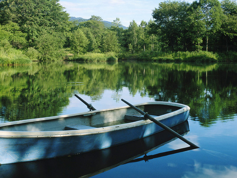 Les Petits Prés Aquitanien - Vitrac visuel 6/6