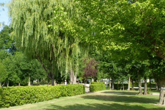 Les Peupliers Aquitanien - Vendays-Montalivet visuel 2/10