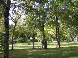 Les Peupliers Aquitanien - Vendays-Montalivet visuel 9/10