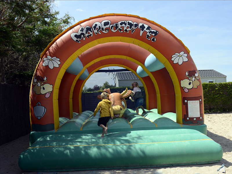 Les Peupliers Basse-Normandie - Merville Franceville Plage visuel 8/9