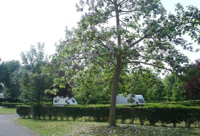 Les Peupliers Großes Zentrum - Montlouis-sur-Loire visuel 10/11 Les Peupliers Großes Zentrum - Montlouis-sur-Loire visuel 10/11