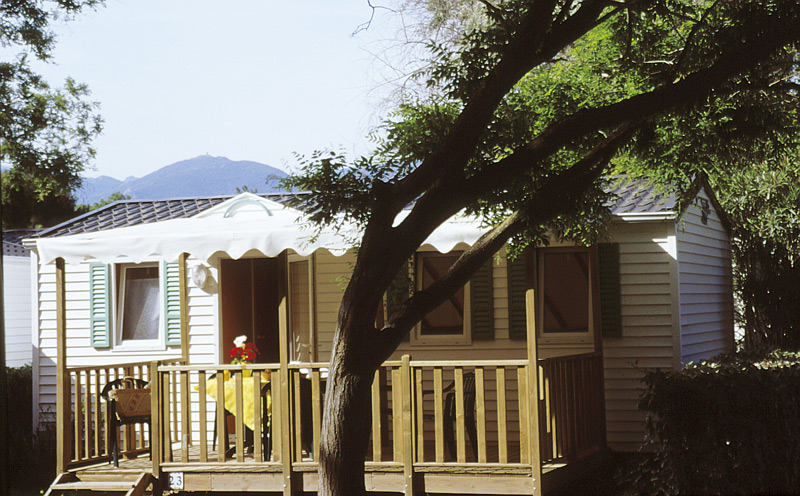 Les Pingouins Languedoc-Roussillon - Argelès-sur-Mer visuel 3/8 Les Pingouins Languedoc-Roussillon - Argelès-sur-Mer visuel 3/8