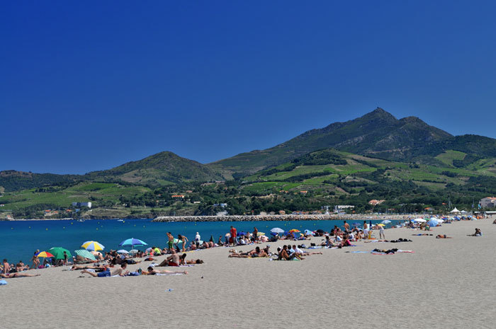 Les Pingouins Languedoc-Roussillon - Argelès-sur-Mer visuel 4/8 Les Pingouins Languedoc-Roussillon - Argelès-sur-Mer visuel 4/8