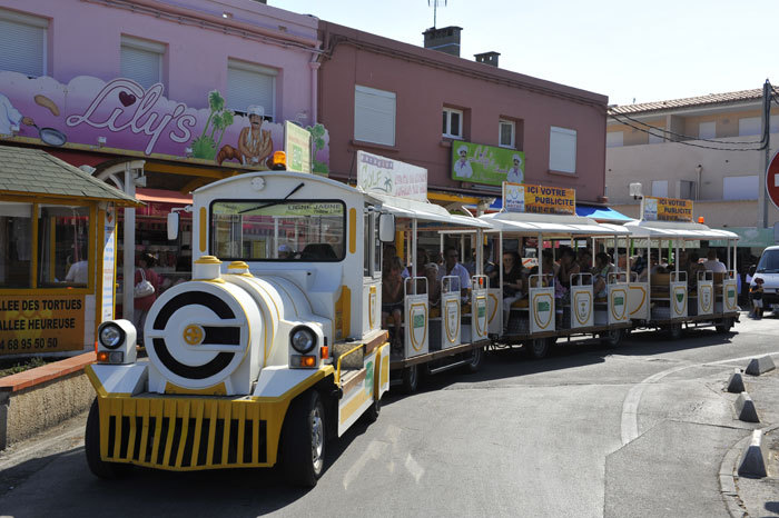 Les Pingouins Languedoc-Roussillon - Argelès-sur-Mer visuel 5/8 Les Pingouins Languedoc-Roussillon - Argelès-sur-Mer visuel 5/8
