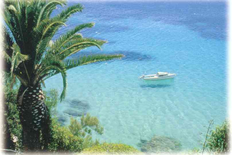 Les Pingouins Languedoc-Roussillon - Argelès-sur-Mer visuel 8/8 Les Pingouins Languedoc-Roussillon - Argelès-sur-Mer visuel 8/8