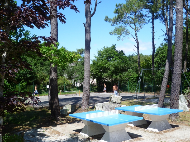 Les Pins Bretagne - Crozon visuel 3/8 Les Pins Bretagne - Crozon visuel 3/8