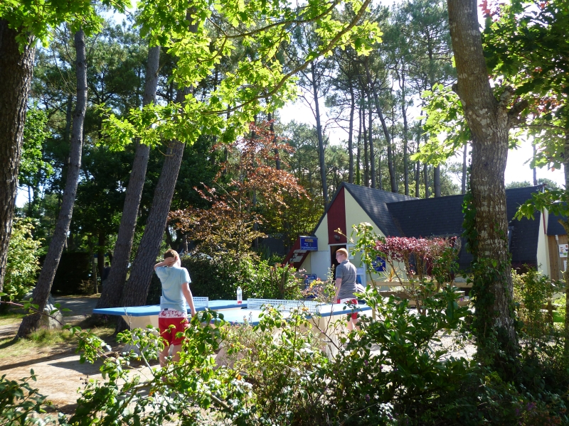 Les Pins Bretagne - Crozon visuel 5/8 Les Pins Bretagne - Crozon visuel 5/8