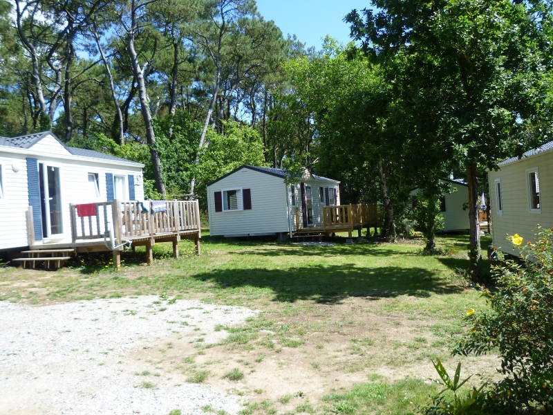 Les Pins Bretagne - Crozon visuel 8/8 Les Pins Bretagne - Crozon visuel 8/8