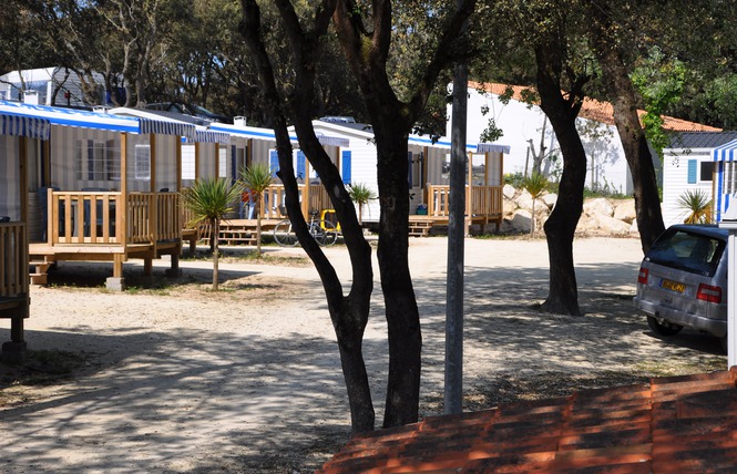 Les Pins Poitou-Charentes - Saint-Pierre-d'Oléron visuel 1/1