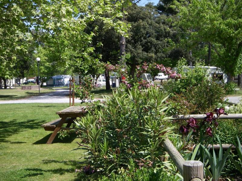 Les Pins Bleus Aquitanien - Labenne visuel 1/1