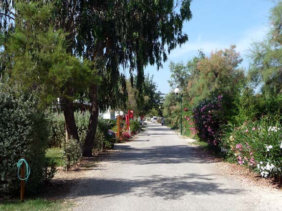 Les Pins Maritimes Provence-Alpes-Côte d'Azur - Hyères visuel 2/10 Les Pins Maritimes Provence-Alpes-Côte d'Azur - Hyères visuel 2/10