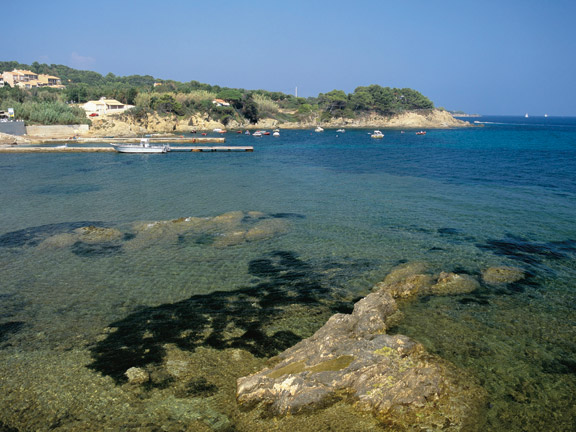 Les Pins Maritimes Provence-Alpes-Côte d'Azur - Hyères visuel 4/10 Les Pins Maritimes Provence-Alpes-Côte d'Azur - Hyères visuel 4/10