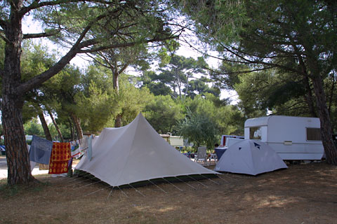 Les Pins Maritimes Provence-Alpes-Côte d'Azur - Hyères visuel 6/10 Les Pins Maritimes Provence-Alpes-Côte d'Azur - Hyères visuel 6/10