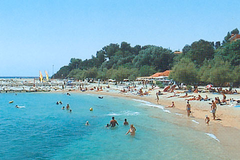 Les Pins Maritimes Provence-Alpes-Côte d'Azur - Hyères visuel 9/10 Les Pins Maritimes Provence-Alpes-Côte d'Azur - Hyères visuel 9/10